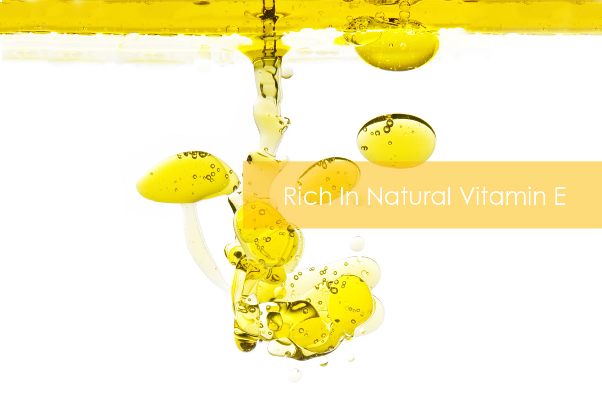 cooking oil supplier Malaysia